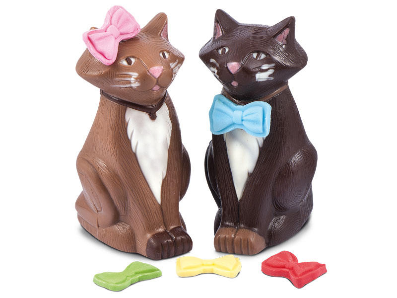 Gatto