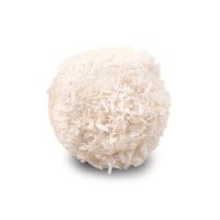 buffa_pralina_boule_bianca