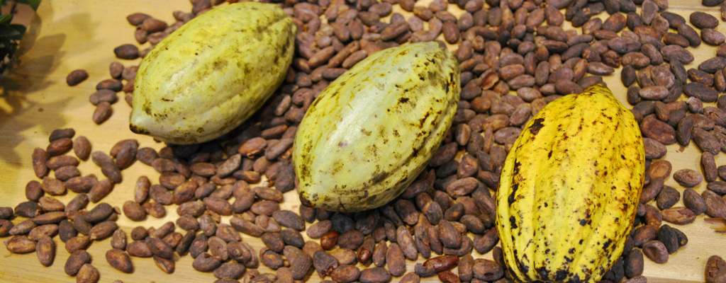 storiacioccolato 3